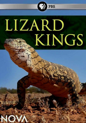 KH068 - Document - Lizard Kings (2.5G)